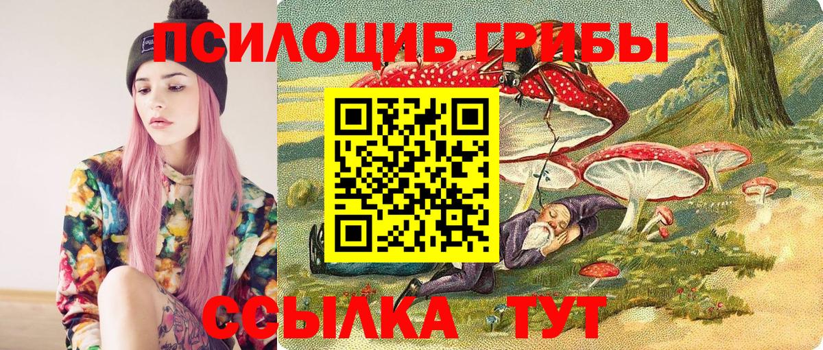 Галлюциногенные грибы прущие грибы Карталы