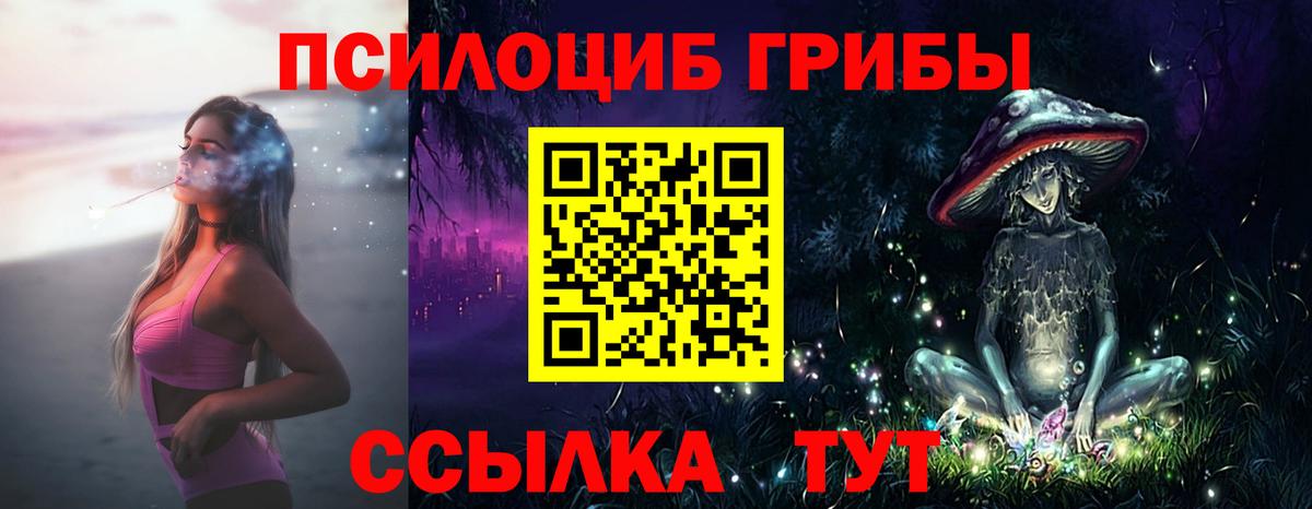 Псилоцибиновые грибы Magic Shrooms  наркота  Карталы 