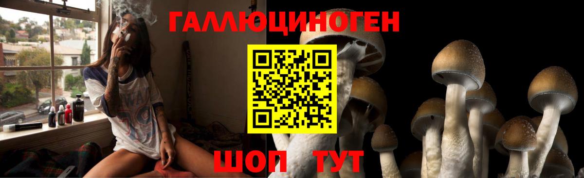 Псилоцибиновые грибы прущие грибы  Вход с VPN  Карталы 