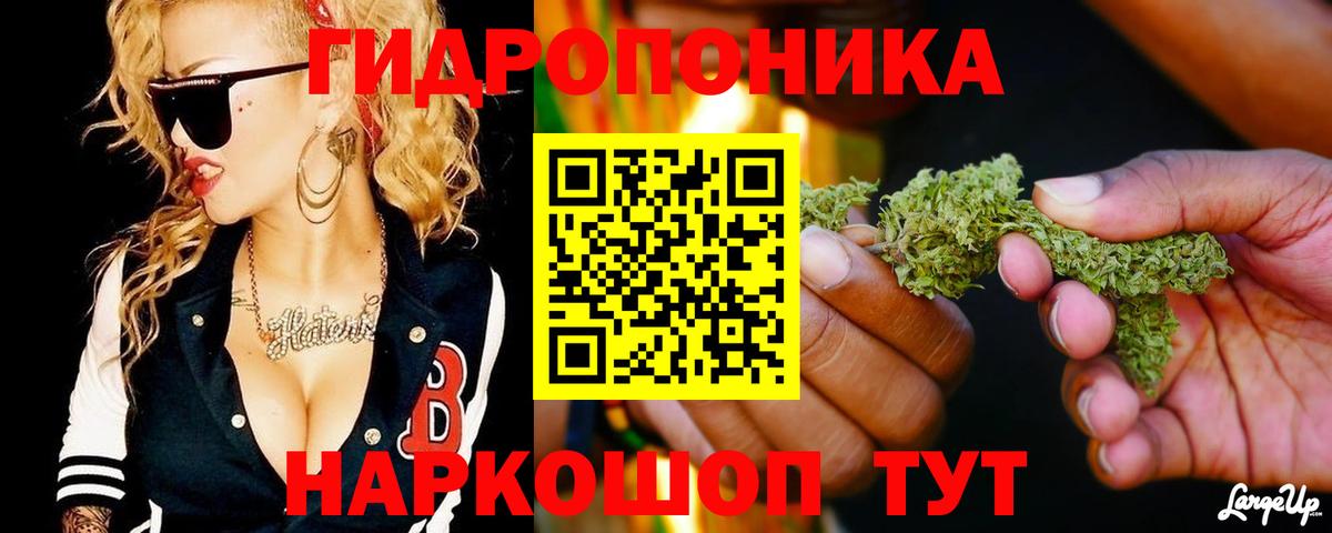 Бошки марихуана AK-47  Шишки марихуана AK-47  Карталы  Конопля сатива  Вход с VPN 